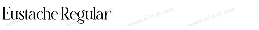 Eustache Regular字体转换